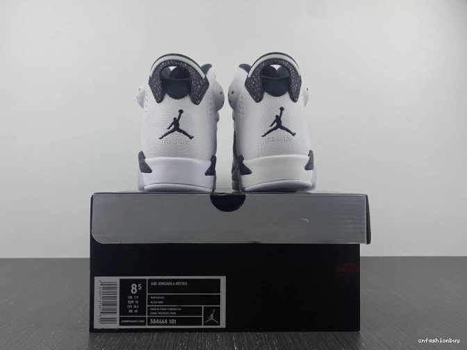6 Jordan Retro 384664-101 Oreo 1105